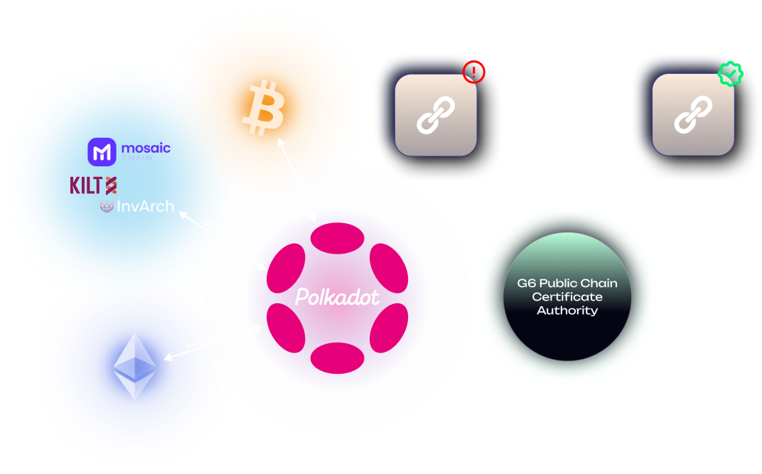 G6 Networks - Structure